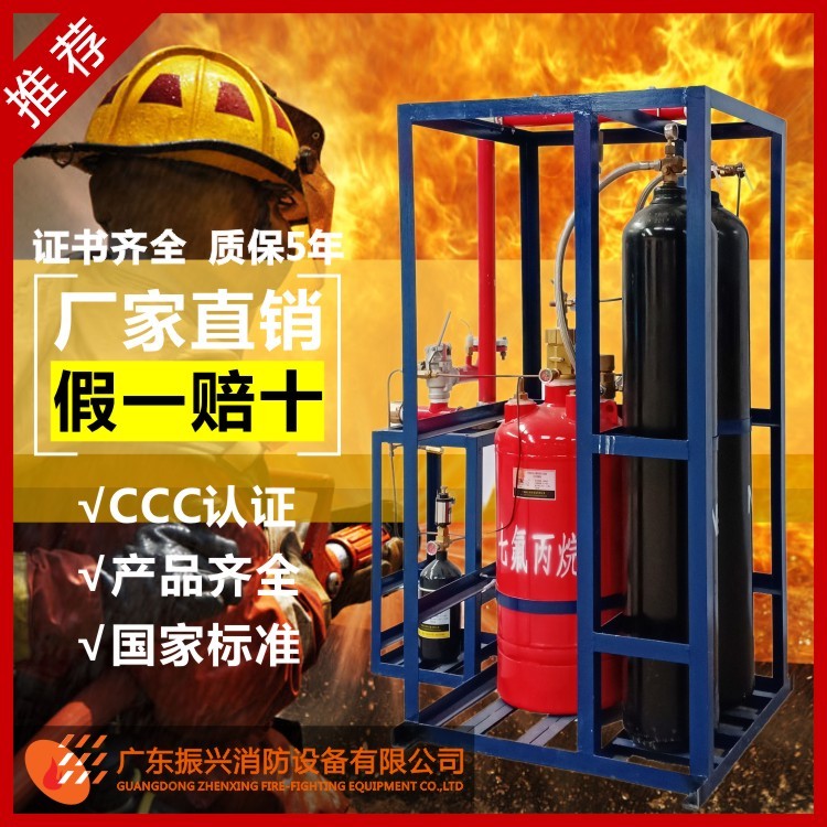 外贮压式七氟丙烷灭火系统 厂家直供 振兴消防