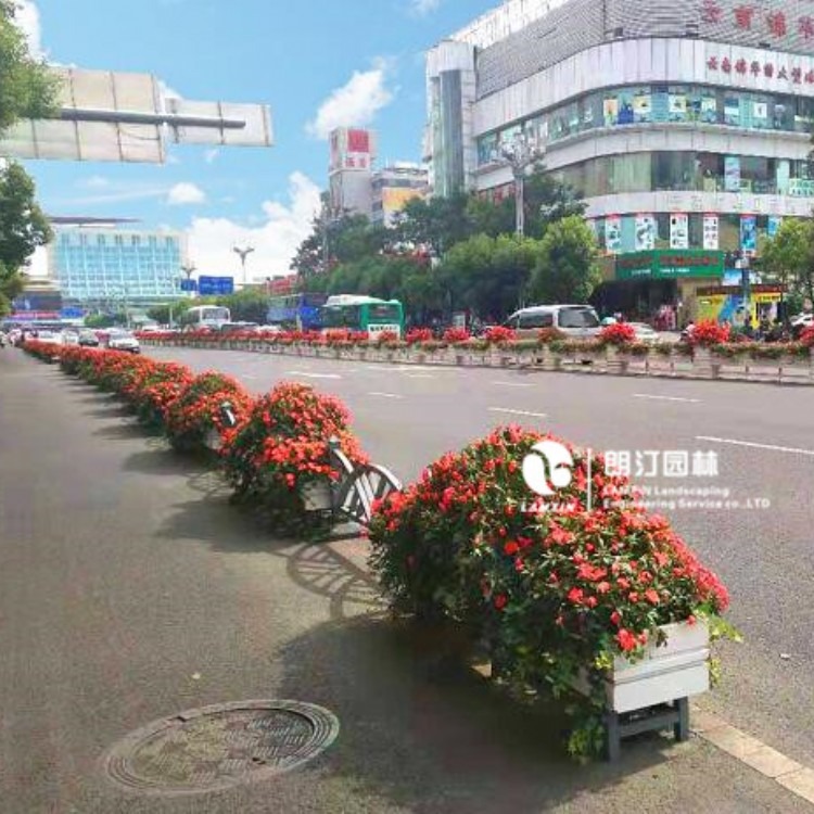 云南昆明北京路道路绿化，提升城市环境品质