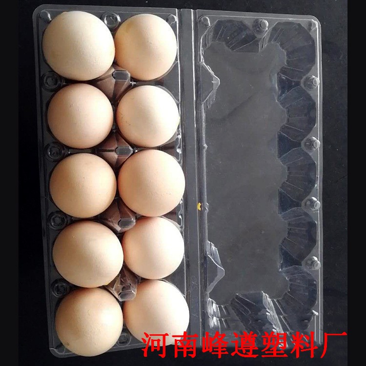 厂家现货批发 6枚鸡蛋托 塑料鸡蛋包装盒 包装盒