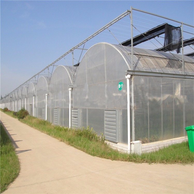 新型连栋温室 葡萄大棚价格 连栋温室工程建造 辉腾温室