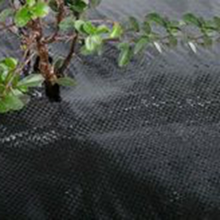 果树防草布 新型农用果园防草地布 生态防草布