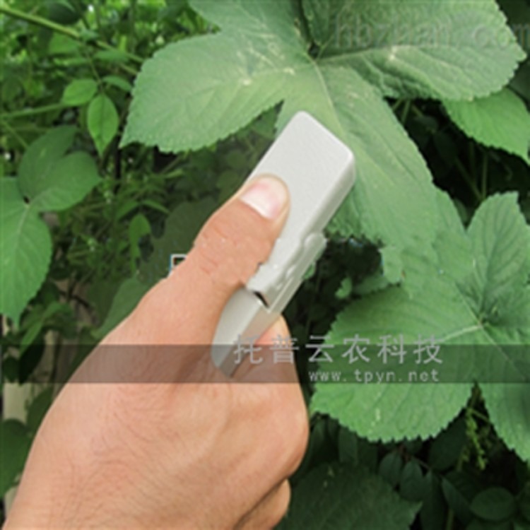 植物叶片温差测量仪