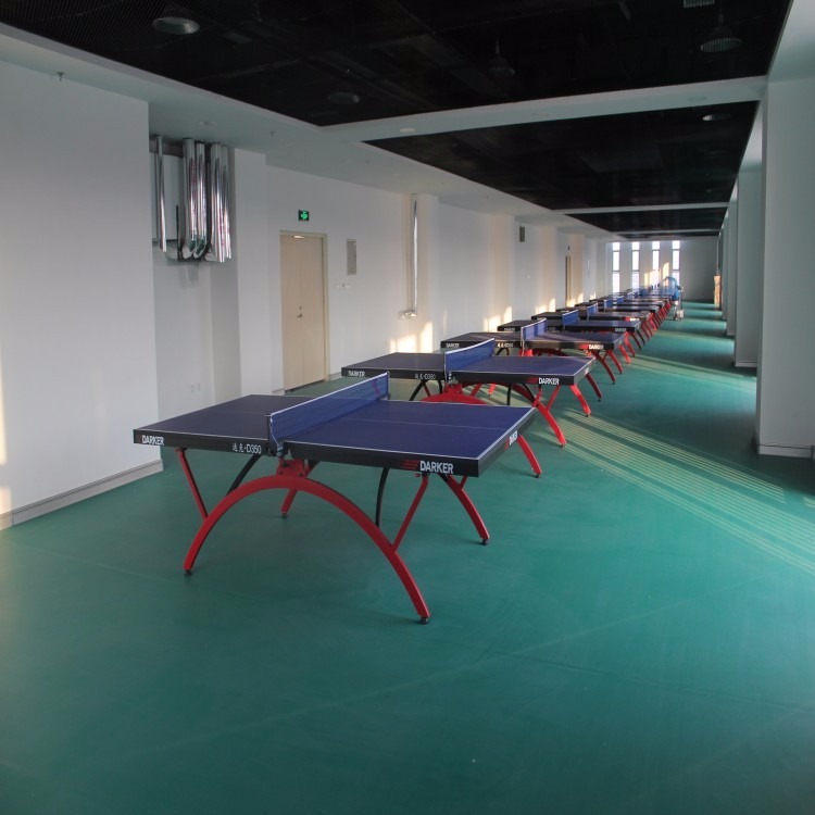 青岛乒乓球场塑胶地板 羽毛球场地胶 弹性塑胶地板