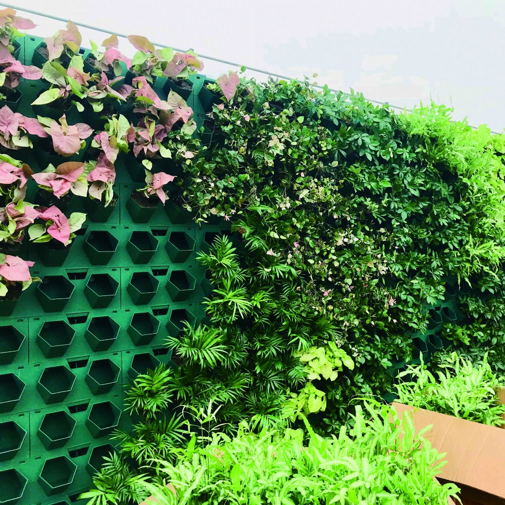 美贸植物墙真植物墙容器壁挂绿植花盆生态墙立体垂直绿化植物墙种植盒壁挂式挂墙种菜盆