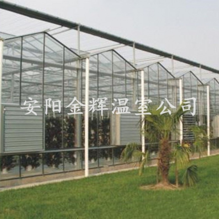 建设智能玻璃连栋种植花卉温室大棚找金辉